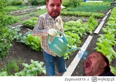 ZygmuntX19 - #kononowicz Slawek. Może podlewając proch wychodujesz nowego ksieka. Co ...