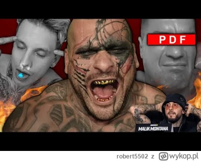 robert5502 - Nigdy nie słuchałem rapu\hiphopu (kiedyś troche Calibra i to wszystko) i...