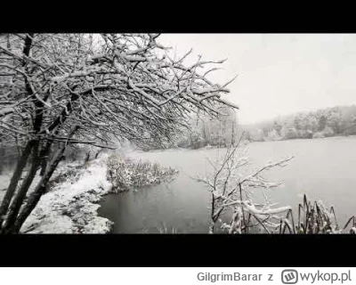 GilgrimBarar - Podczas moich codziennych spacerów po Tychach zacząłem nagrywać krótki...