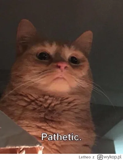 Letheo - #mecz Benfica oglądająca jak Real dostaje w------l od Barcy