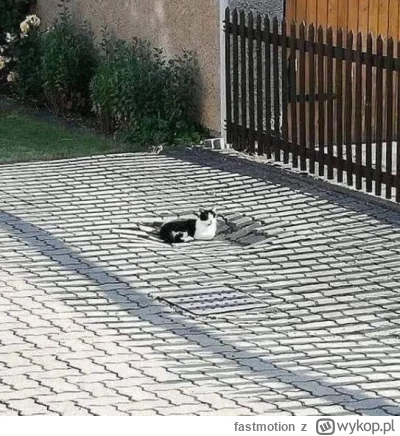 fastmotion - @fastmotion: