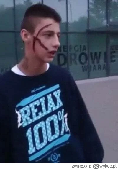 Zwierz33 - @HeinzGuderian: Czyli debil i powienien być symbolem debilizmu a nie osób ...