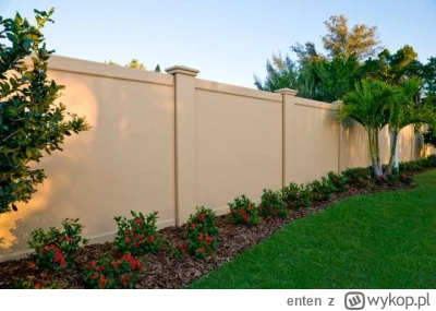 enten - >To jest najtańsza opcja dlatego taka popularna.

@ProfesorChleb: Ale czy kon...