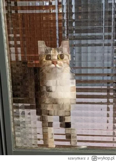 szarytkarz - @wfyokyga