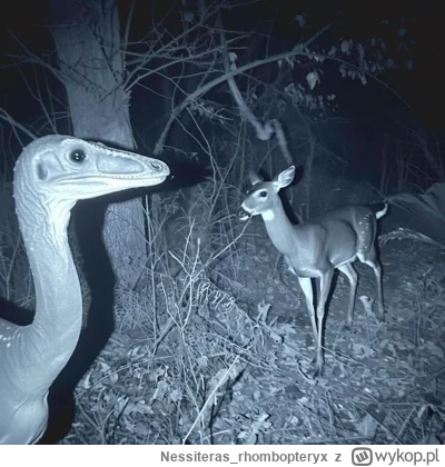 Nessiteras_rhombopteryx - #gabinetosobliwosci
SPOILER