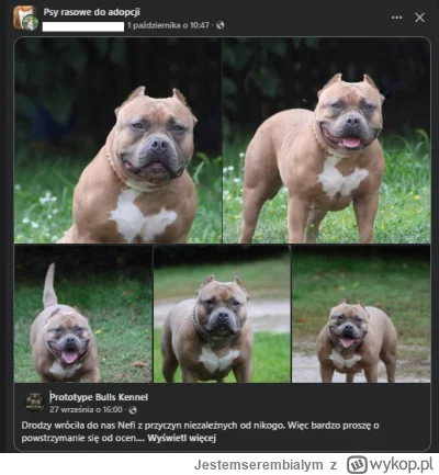 Jestemserembialym - Niezależnie od nikogo zapewne u-----a przechodnia w noge ( ͡°( ͡°...