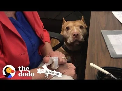 A330 - Wiem że stare i wiem że nie z Polski, ale tylko czekac jak u nas tez tak będzi...