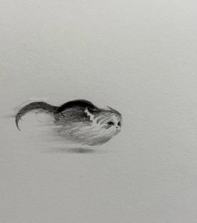 wybryk_natury - #zlodziejskiewybryki