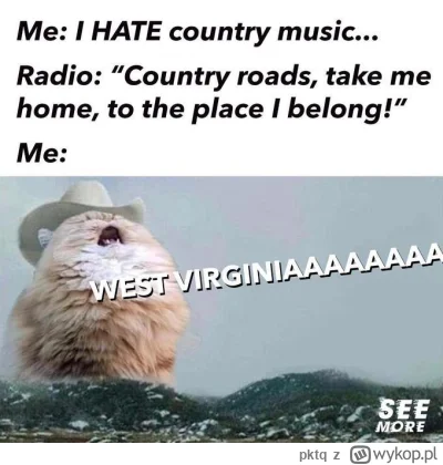 pktq - Kotki fanem country? (｡◕‿‿◕｡)