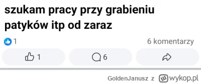 GoldenJanusz - praca marzeń dla chłoppa 
#przegryw #chlopill