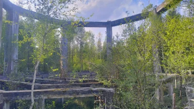 sylwke3100 - To jest prawdziwy #spierdotrip 

Krzaki, opuszczony obiekt oraz cisza i ...