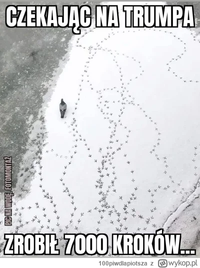 100piwdlapiotsza - Duda w Waszyngtonie 
#heheszki #humorobrazkowy #polityka