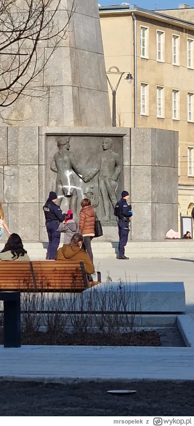mrsopelek - Jacyś debile pomazali swastykę na pomniku #lodz