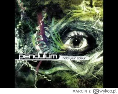 MARClN - Pendulum - The Terminal

Hold Your Colour
Breakbeat Kaos – BBK002LP
2005
UK
...