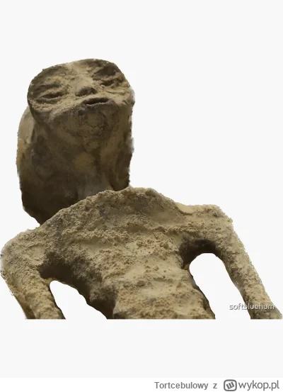 Tortcebulowy - @panDario: a tutaj zdjęcie pilota ufo