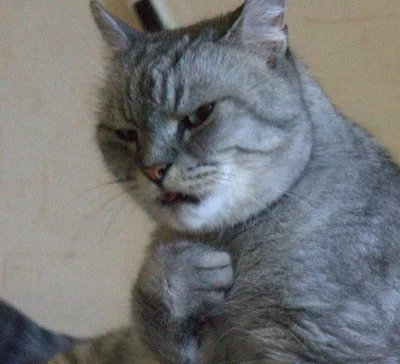 witulo - @Ilahinefes: