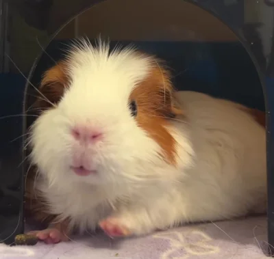 DziecizChoroszczy - #dobranoc 
Idem spać, mam nadzieję że przyśni mi się fluorescency...