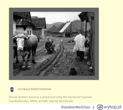 RandomNetUser - @officer_K: