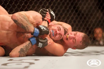 matthewonthego - TL;DW - zakładacie psu duszenie i już nie gryzie!