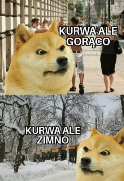 n0cniarz - i tak w kułko