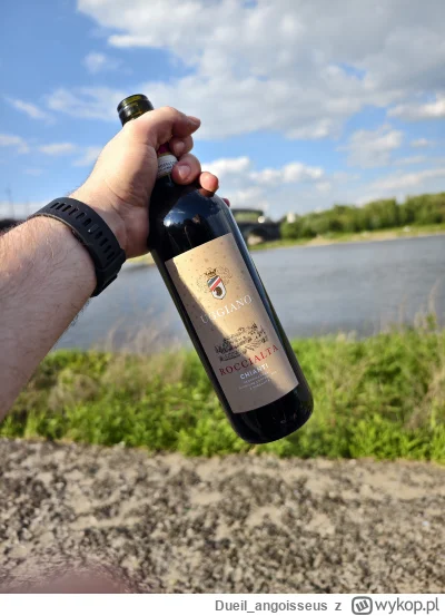 Dueil_angoisseus - W radiu grało lady pank

#alkoholizm #pijzwykopem