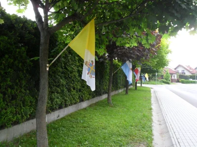 stefan_pmp - Bóg powiedział "czyńcie sobie ziemię poddaną"
np. za pomocą wkrętów oksy...