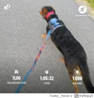 Funky__Koval - 24 319,47 - 11,00 = 24 308,47

Przerwa od roweru.

Pierwszy raz bieg...