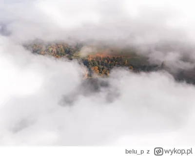 belu_p - Wczorajsza mgła z prześwitem na Rędzin, tuż przy Odrze.
#wroclaw #fotografia...