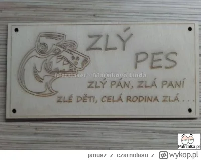 januszzczarnolasu - České dráhy...
