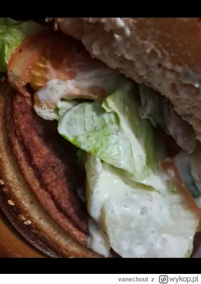 vanschout - Chuop se kupił chamburgera w nowej knajpce w okolicy. Warto za 12,5 zł?

...