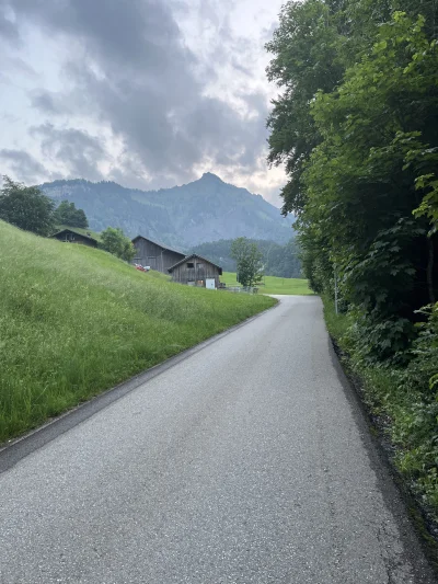 kiedyswygramzycie - #przegryw 

Podobno za 15 minut zachód słońca może niedźwiedź alp...