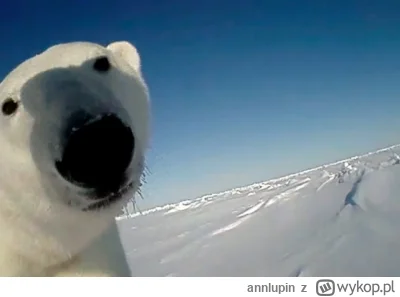 annlupin - ja to bede filmy oglądać dzisiaj a co uwas