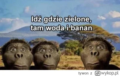 tywon - #raportzpanstwasrodka