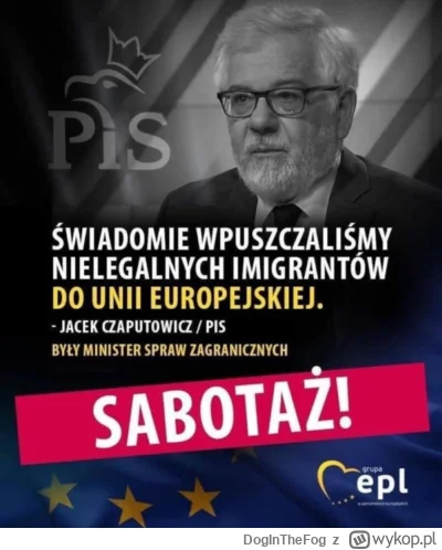 DogInTheFog - @pikpoland