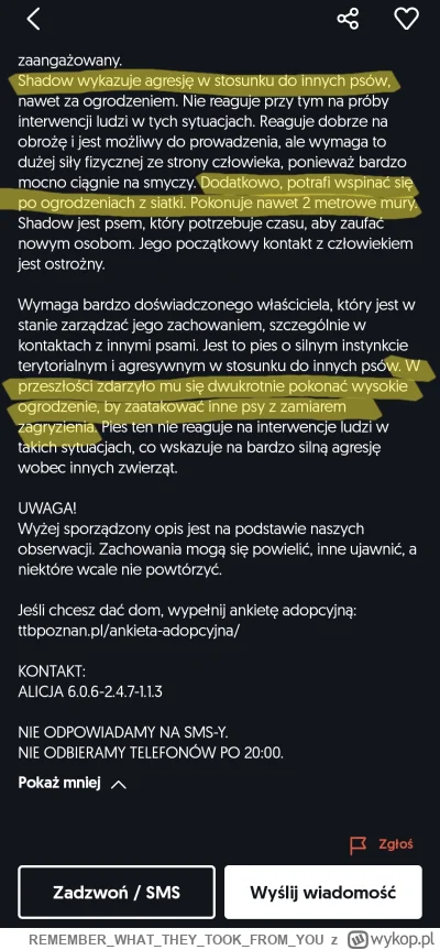 REMEMBERWHATTHEYTOOKFROM_YOU - Kochani, Shadow szuka nowego domu, są chętni? ( ͡º ͜ʖ͡...