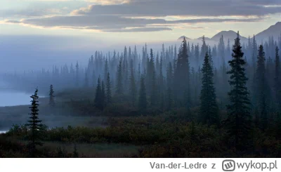 Van-der-Ledre - Ostatnio zastanawiałem się który stan USA najbardziej klimatycznie od...