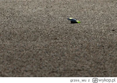 grzes_wu - #f1 Fun fact dla nowych kibiców. Kiedyś na niektórych torach pułapki żwiro...