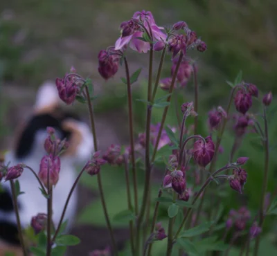 koralowiecc - #fotografia #sooc #tworczoscwlasna