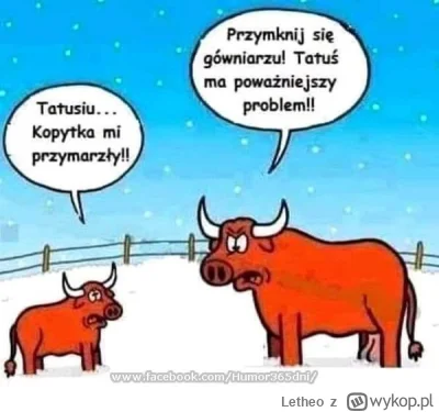 Letheo - #grazynacore #heheszki #humorobrazkowy