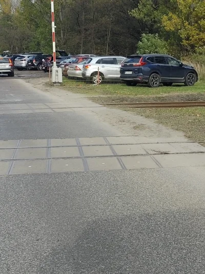 MrBeast - XD 
#polskiedrogi #samochodoza #konfitura #motoryzacja