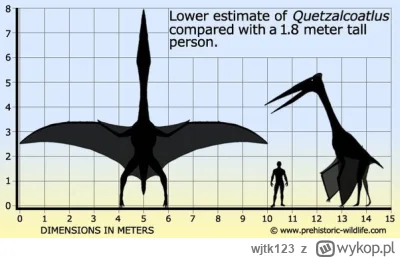 wjtk123 - Kiedy jako dziecko interesowałem się dinozaurami, wszyscy skupiali się na T...