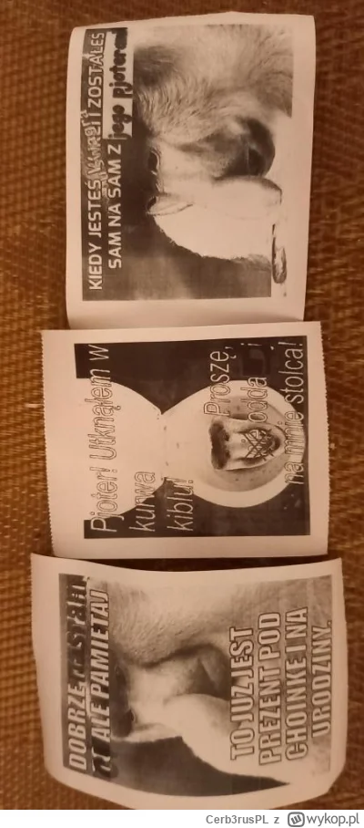 Cerb3rusPL - #konkursnanajbardziejgownianymemznosaczem 

Pjoter, szybciej drukuj te m...