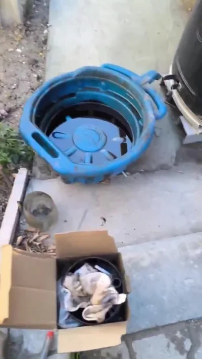 mleko3-2procent - Rosjanin narzeka, że kupił paliwo; jak rozumiem 2 tygodnie temu i m...