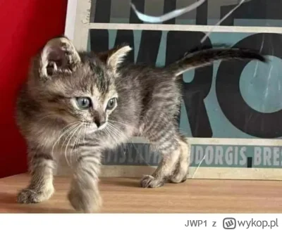 JWP1 - @Returned No a nie? ;)