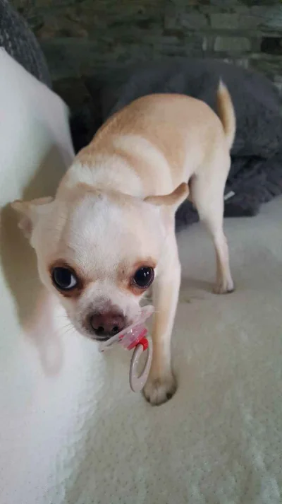 dywergent - jestem zmeczony