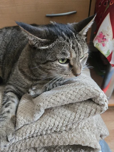 Solsith - @Kantorwymianymysliiwrazen: z trzema, jeszcze bułka i kobita(⌐ ͡■ ͜ʖ ͡■)