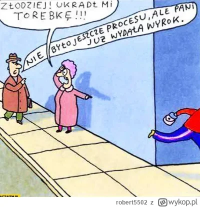 robert5502 - #sebastianmajtczak #prawo #humorobrazkowy #bekazpodludzi