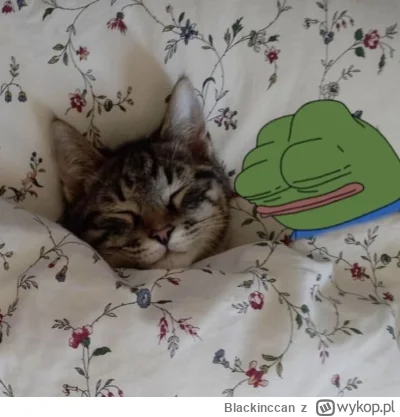 Blackinccan - Dobranoc Przyjaciele 
Pamiętajcie, ja w Was wierzę 

#przegryw