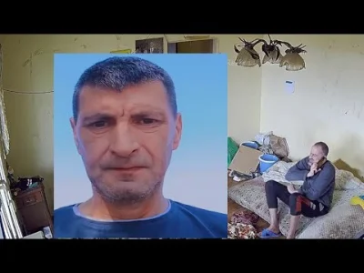 Turkotka - @Kremufka2137: