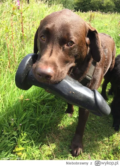 N.....y - @magdalena-gaska Masz poczęstuj sie